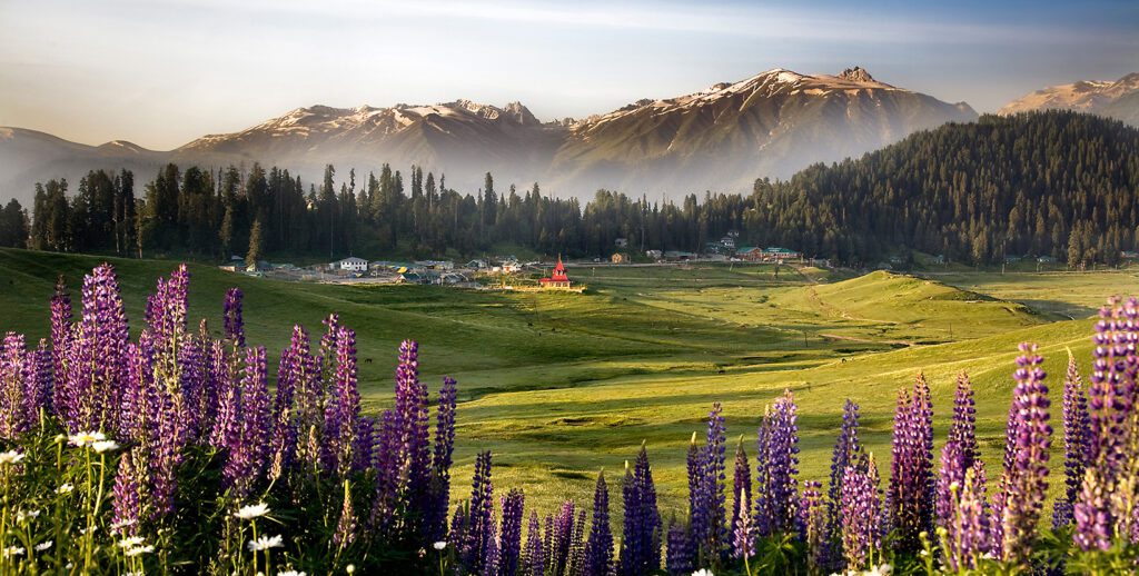 gelmarg-meadows