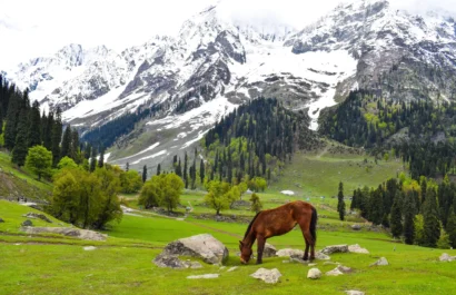 kashmir
