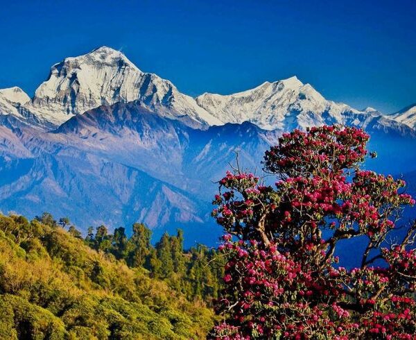 nature of nepal