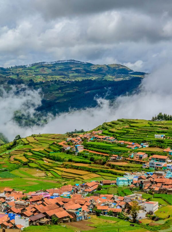 ooty
