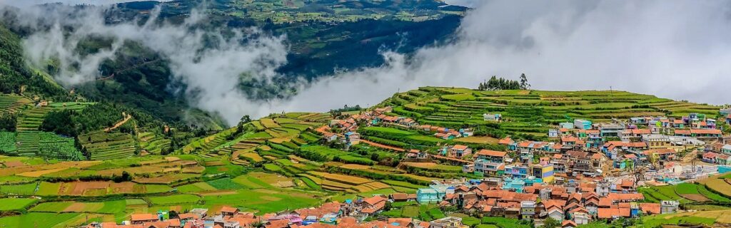 ooty-monson-view