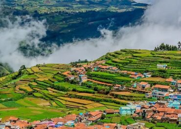 ooty-monson-view