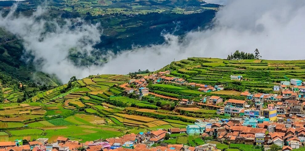 ooty-monson-view