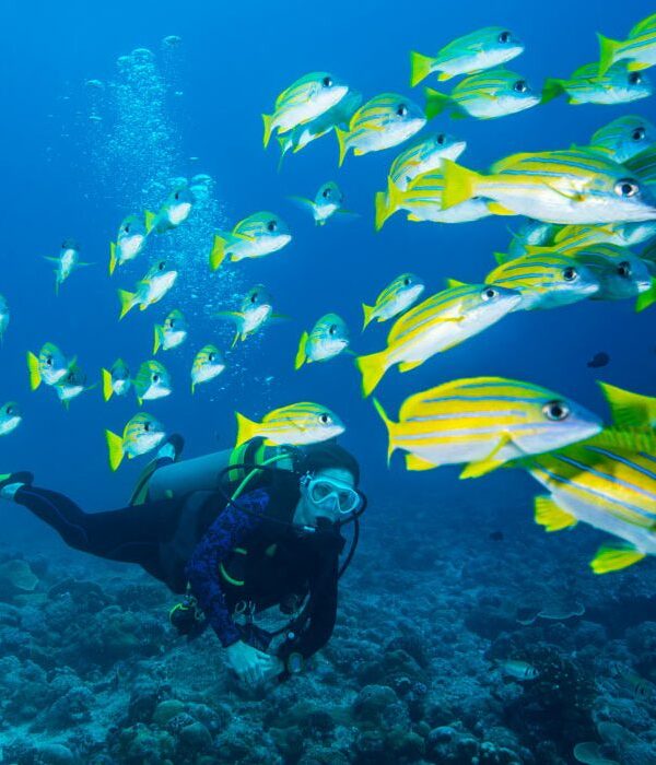 scuba diving