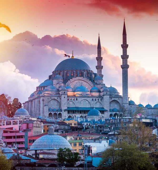 turkey