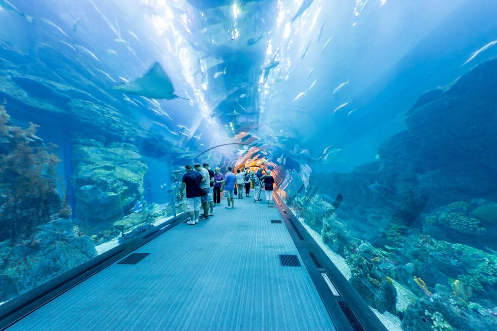 underwater world